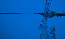 Immagine: Sportello Online