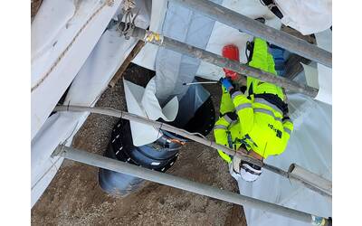 Immagine: 20241219_092056