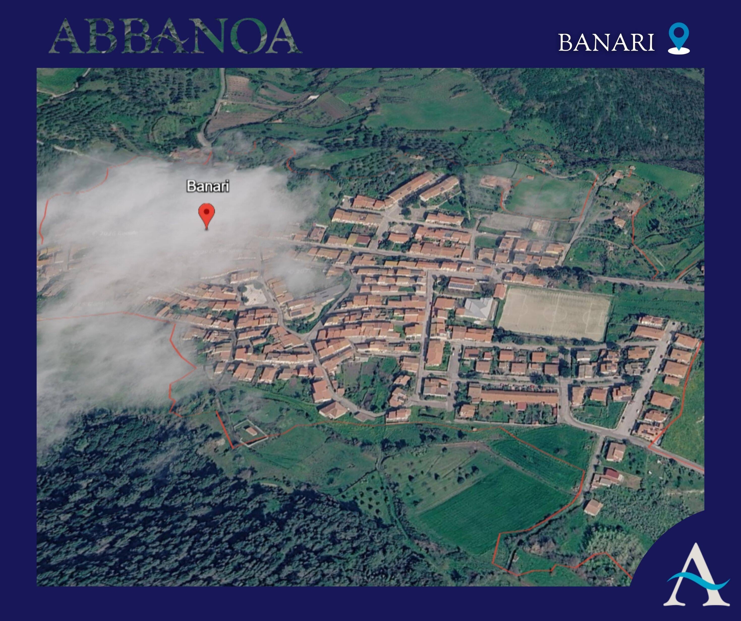 Immagine: BANARI
