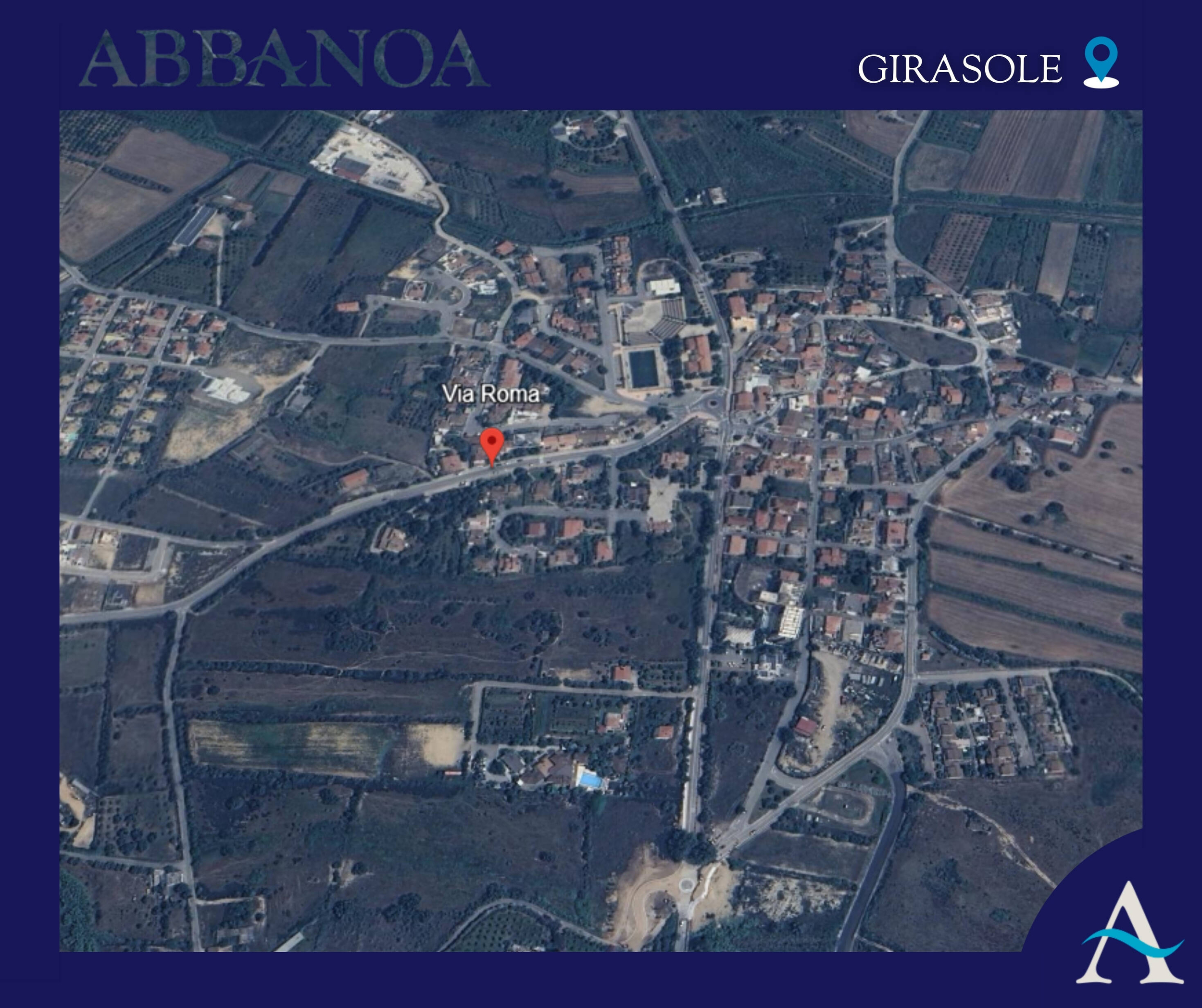 Immagine: girasole via roma