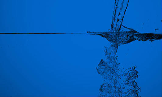 Immagine: impresa-senza-web