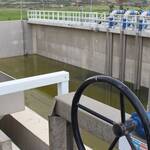 Immagine: Inaugurazione depuratore Valledoria 9