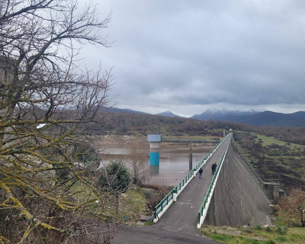 Immagine: olai del 20-01-2025 (1)