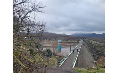 Immagine: olai del 20-01-2025 (1)