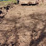 Immagine: Putifigari !