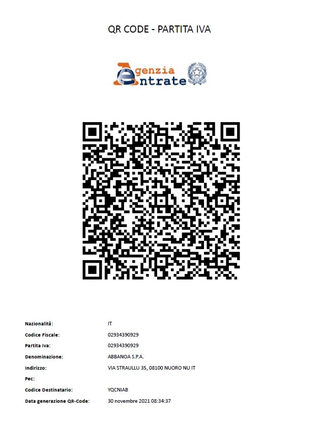 Immagine: Qr code societario