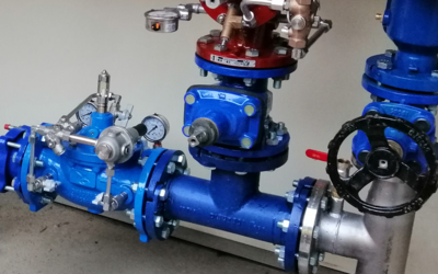 Immagine: Screenshot 2025-01-27 114657