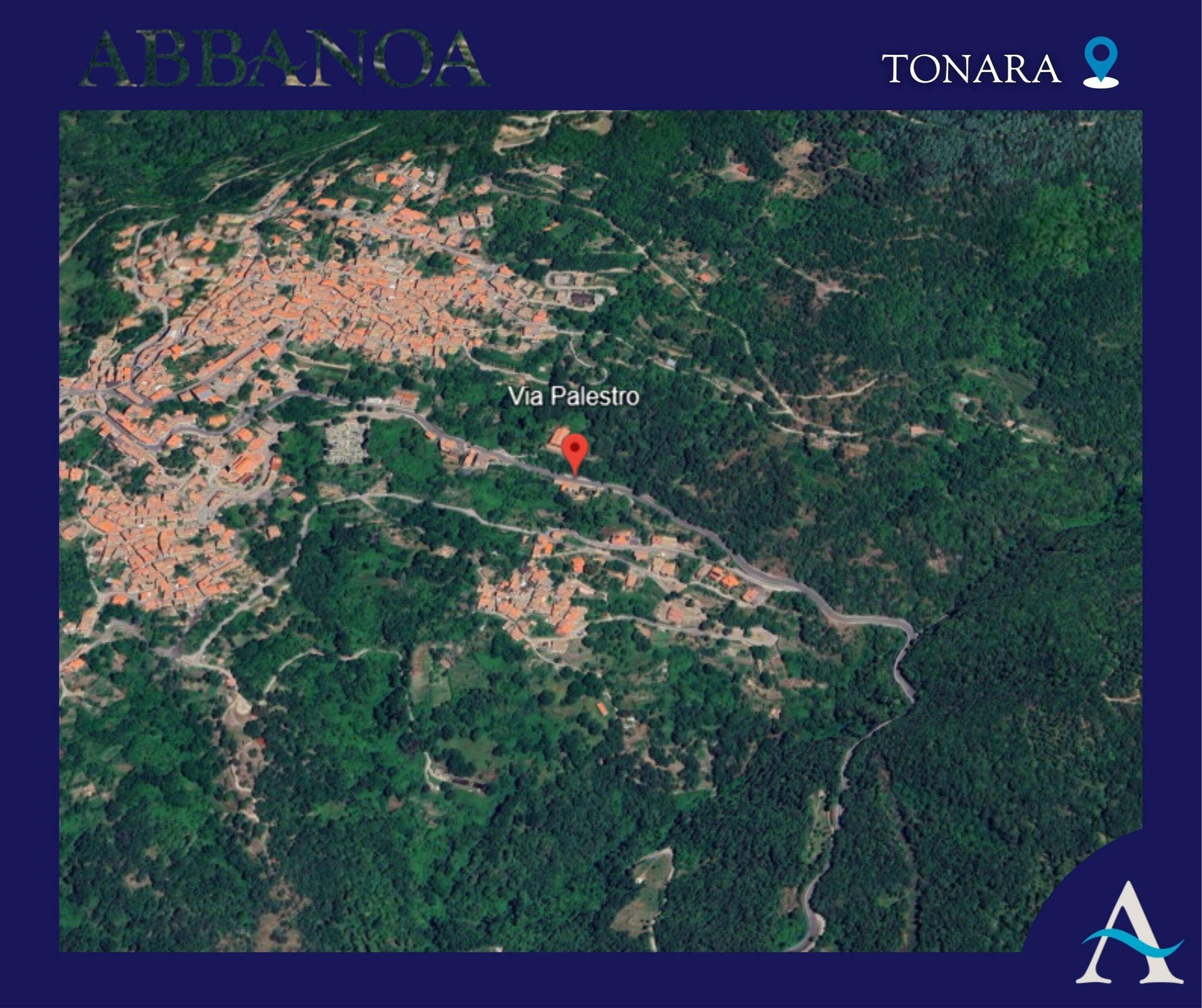 Immagine: tonara via palestro